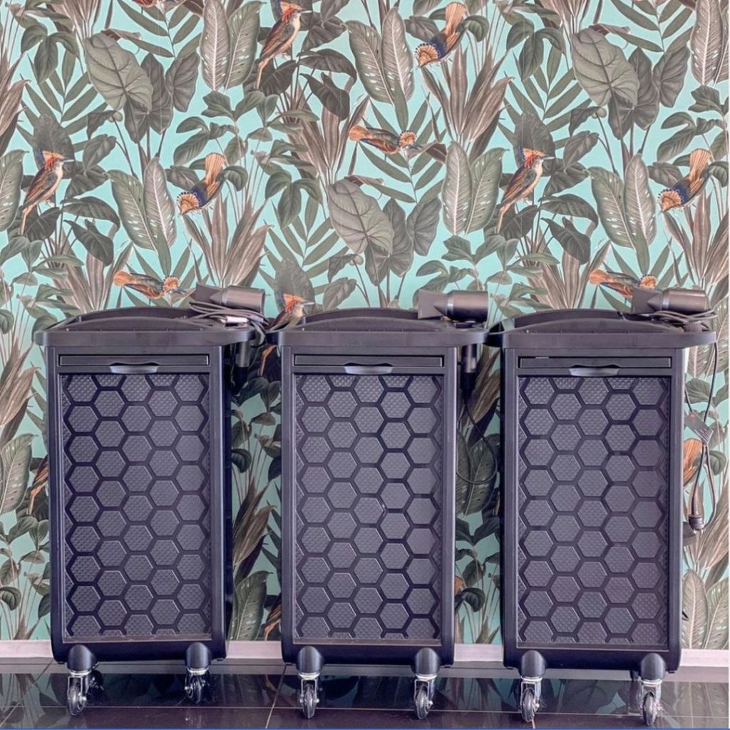 241313261 573914980726460 7704825076914922470 n