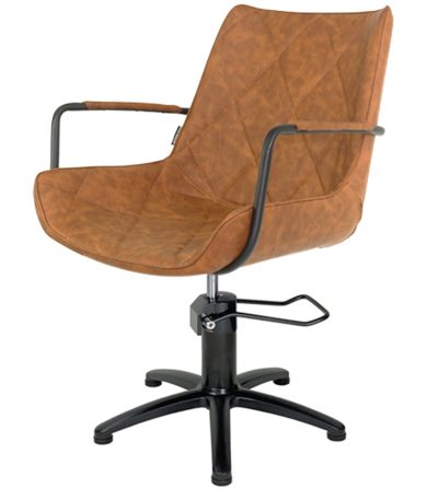 Styling Chair,Hydraulic styling Chair,Salon Styling Chair,Salon Furniture,Salon Chair