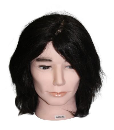 Adam Mannequin