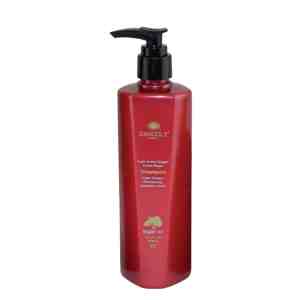 Angel Argan Active Oxygen Instant Repair Shampoo