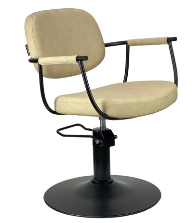 Salon Styling Chair,Styling Chair,Chair,Salon Chair,Hydraulic Styling Chair,Salon Hydraulic Styling cHair,Salon Furniture