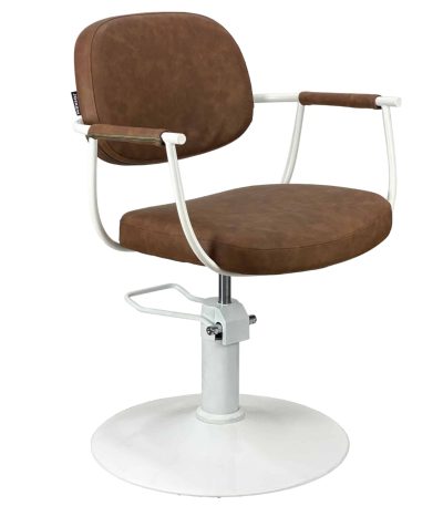 Salon Chair,Salon Styling Chair,Salon Furniture,Salon Hydraulic Styling Chair,Hydraulic Styling Chair,Styling Chiar,Chair,Hydraulic Chair