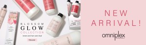 salon supplies,wholesale hair products,hair products wholesale near me,professional hair care products wholesale,wholesale hair product