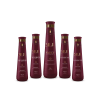 Silk Express Ultra-Fast Hair Straightening Set
