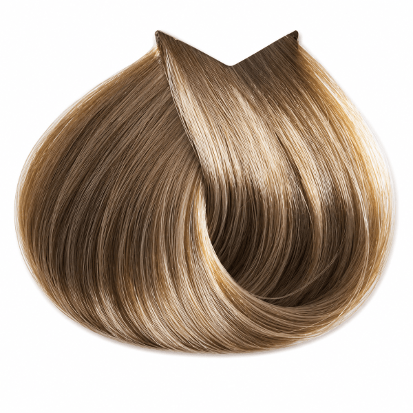 LifeColor Tints - Beiges & Browns